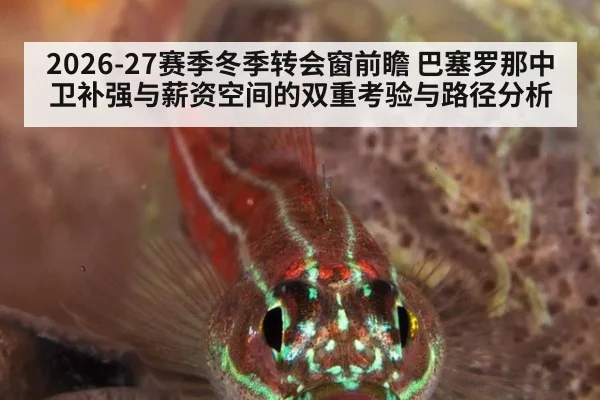 2026-27赛季冬季转会窗前瞻 巴塞罗那中卫补强与薪资空间的双重考验与路径分析